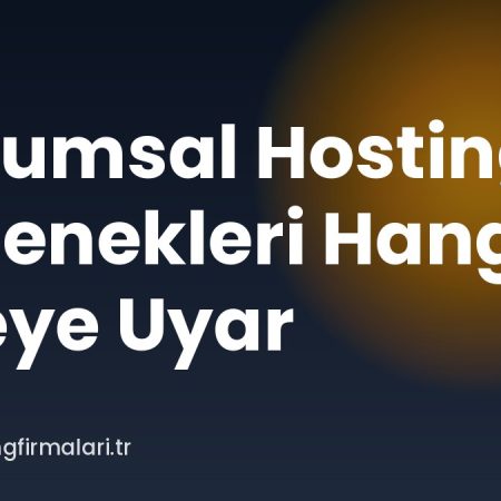 Kurumsal Hosting Seçenekleri Hangi Siteye Uyar